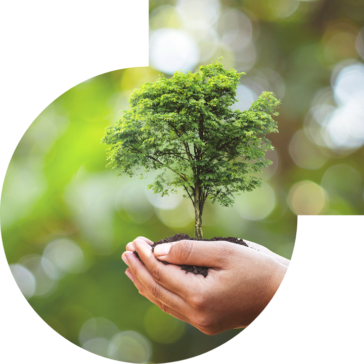 关怀人类、文化、环境与社会